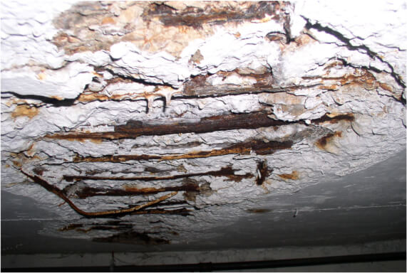 Exposed reinforcing steel in a concrete soffit